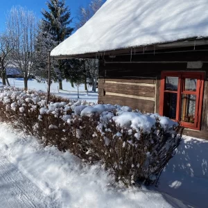 Samotín - Blatiny - Drátenická skála - Vysočina s dětmi