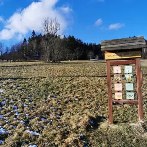 Za tajemnými skalami Žďárských vrchů - Vysočina s dětmi
