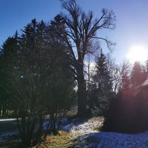 Za tajemnými skalami Žďárských vrchů - Vysočina s dětmi