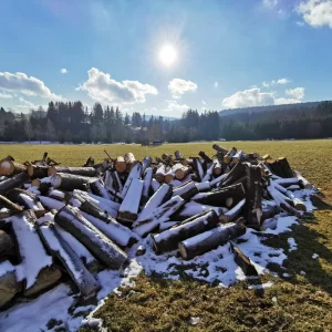 Za tajemnými skalami Žďárských vrchů - Vysočina s dětmi