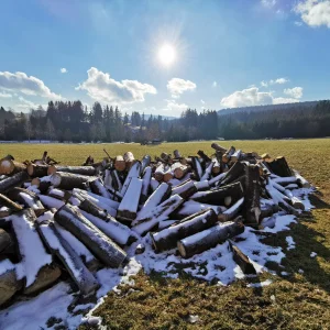 Za tajemnými skalami Žďárských vrchů - Vysočina s dětmi