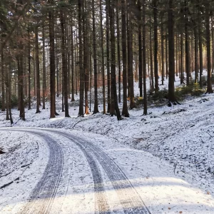 Za tajemnými skalami Žďárských vrchů - Vysočina s dětmi
