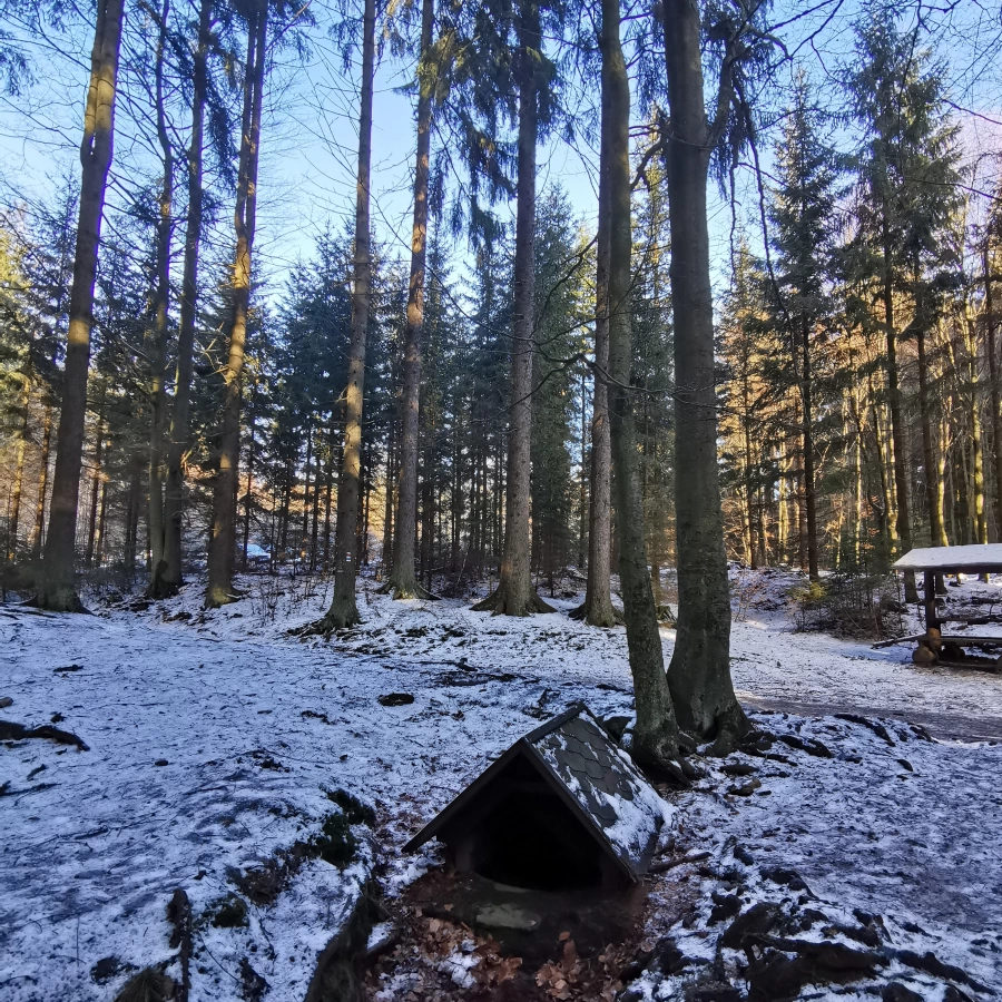 Za tajemnými skalami Žďárských vrchů / 17