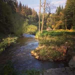 Údolím Sázavy za mamutem - Vysočina s dětmi