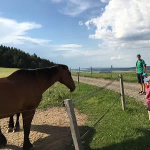Rozhledna Rosička a okolí - Vysočina s dětmi