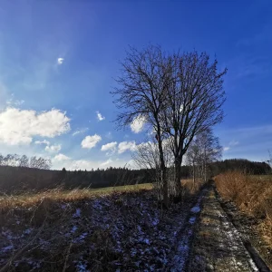 Kolem Pilské nádrže - Vysočina s dětmi