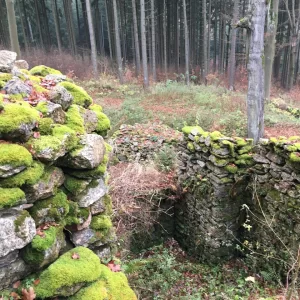 Tajemný hrad Štarkov a okolí - Vysočina s dětmi
