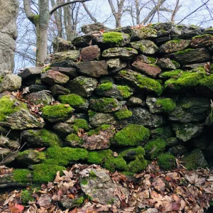 Tajemný hrad Štarkov a okolí - Vysočina s dětmi