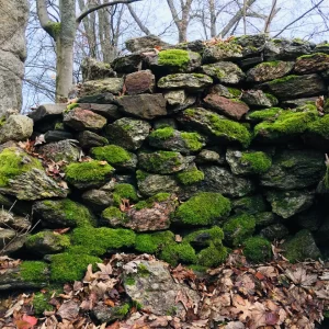 Tajemný hrad Štarkov a okolí - Vysočina s dětmi