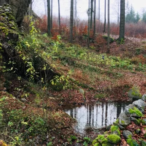 Tajemný hrad Štarkov a okolí - Vysočina s dětmi