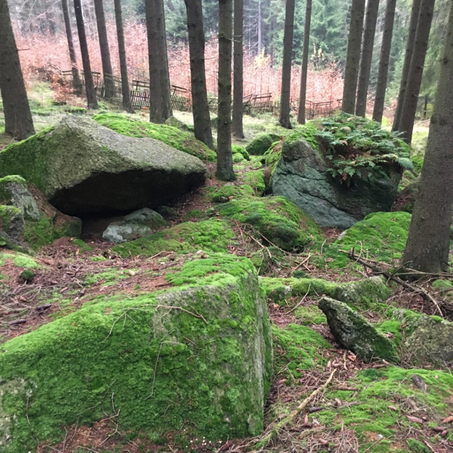 Tajemný hrad Štarkov a okolí obrázek 14