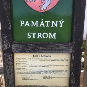 Tajemný hrad Štarkov a okolí - Vysočina s dětmi