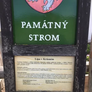 Tajemný hrad Štarkov a okolí - Vysočina s dětmi