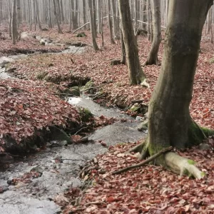 S čerty okolo Cikháje - Vysočina s dětmi