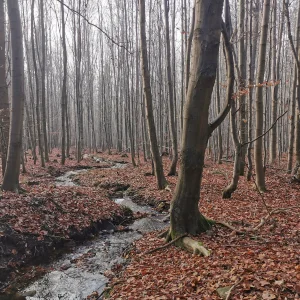 S čerty okolo Cikháje - Vysočina s dětmi