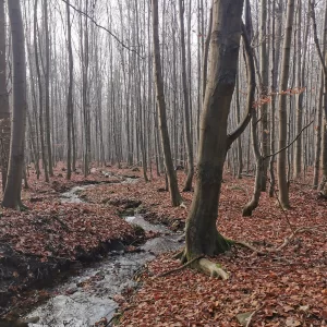 S čerty okolo Cikháje - Vysočina s dětmi