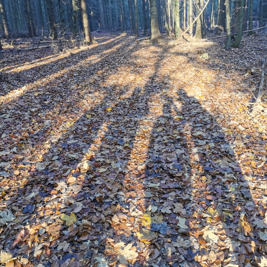 S čerty okolo Cikháje obrázek 7
