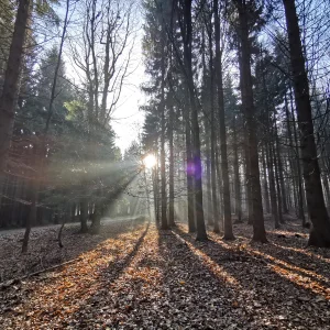 S čerty okolo Cikháje - Vysočina s dětmi