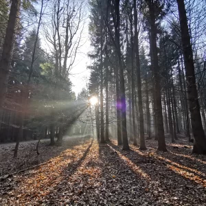 S čerty okolo Cikháje - Vysočina s dětmi