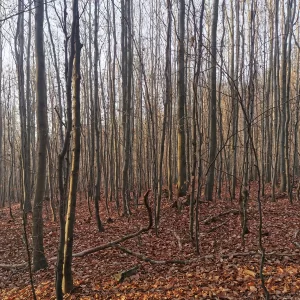 S čerty okolo Cikháje - Vysočina s dětmi