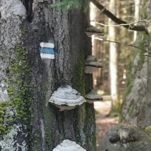 S čerty okolo Cikháje - Vysočina s dětmi