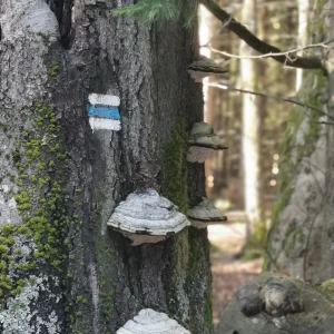 S čerty okolo Cikháje - Vysočina s dětmi
