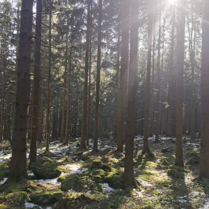 S čerty okolo Cikháje - Vysočina s dětmi