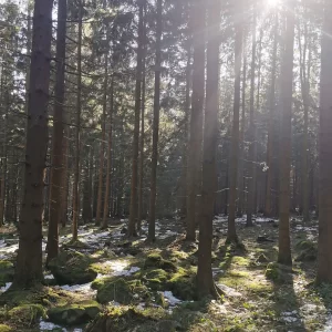 S čerty okolo Cikháje - Vysočina s dětmi