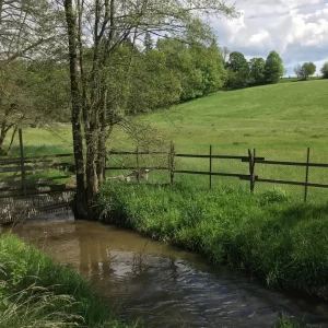Dobytí hradu Ronov - Vysočina s dětmi