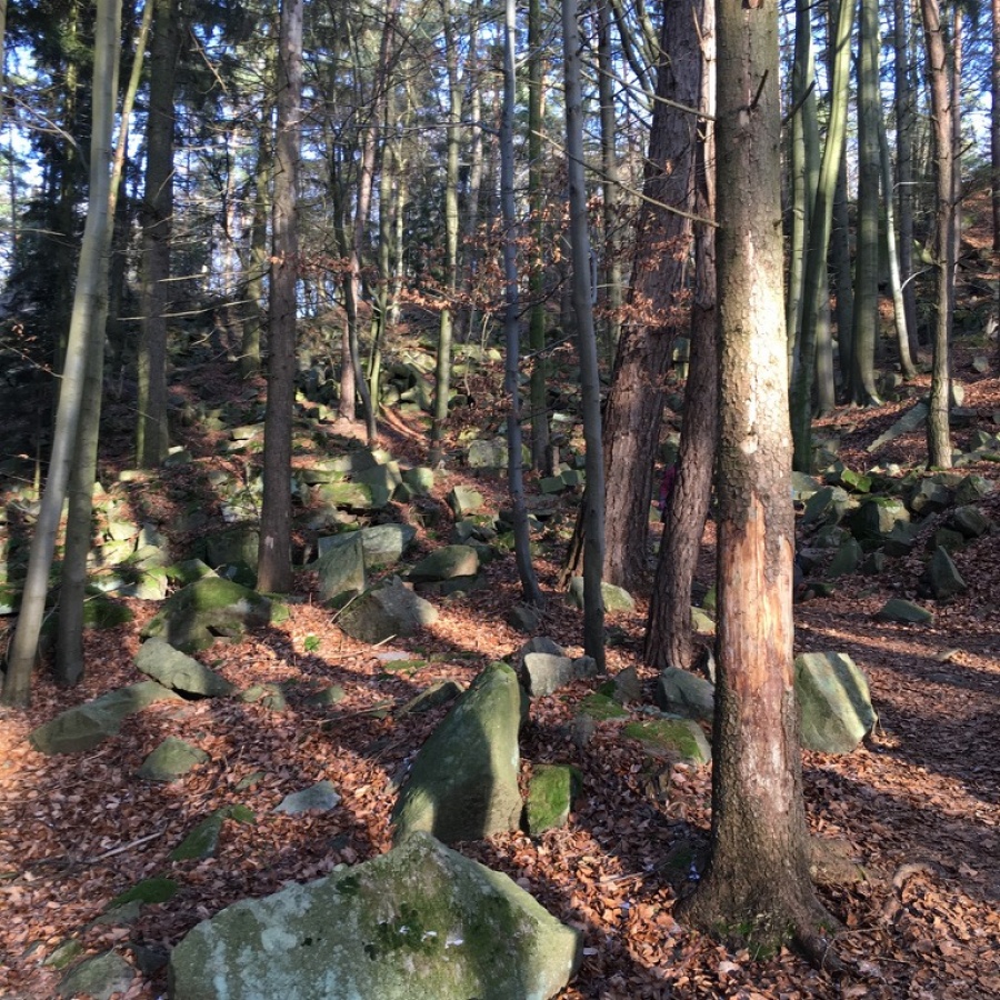 Hrad Lipnice a památník odposlechu obrázek 13