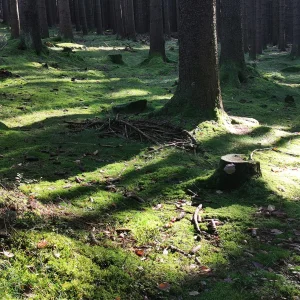 Buchtův kopec - Vysočina s dětmi