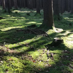 Buchtův kopec - Vysočina s dětmi