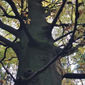 Buchtův kopec - Vysočina s dětmi