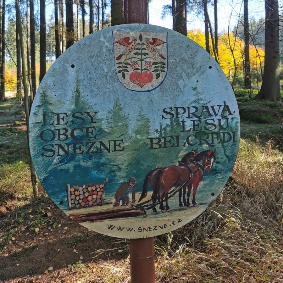 Buchtův kopec obrázek 3