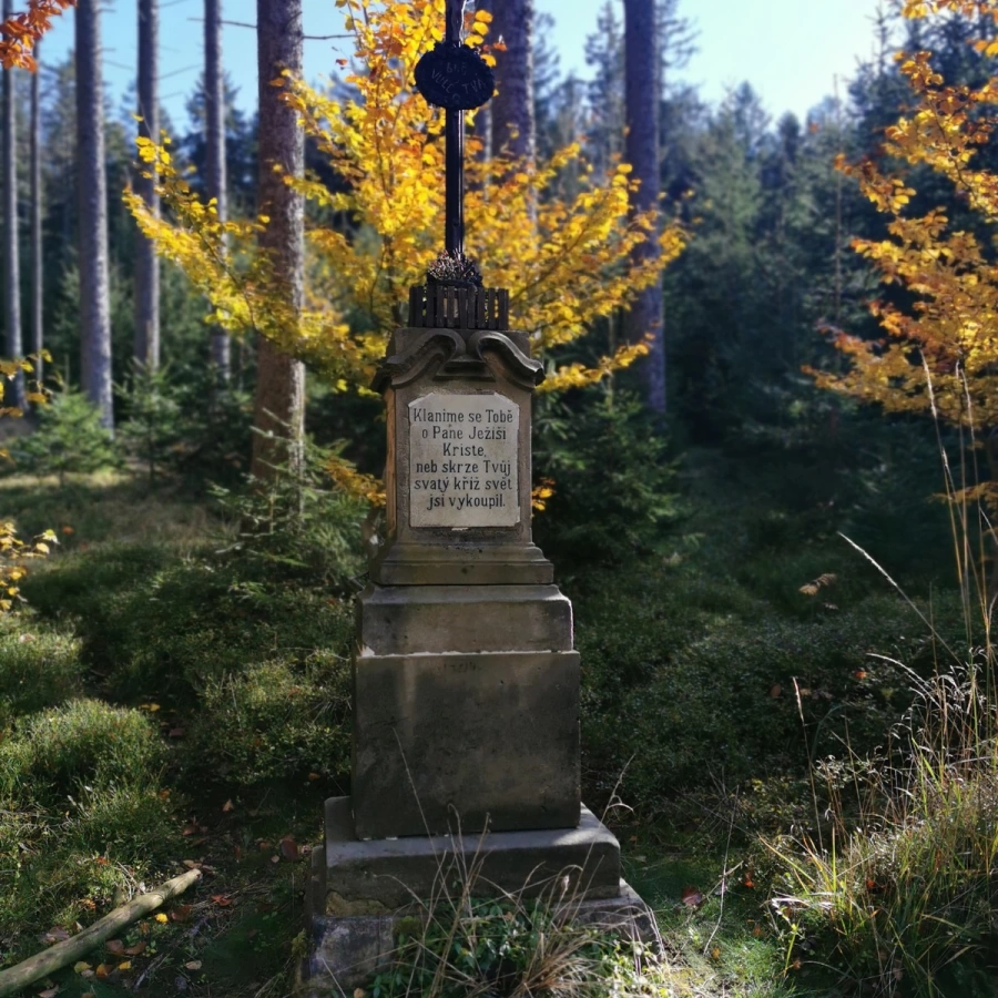 Buchtův kopec / 11