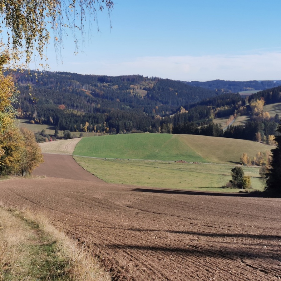 Buchtův kopec obrázek 12