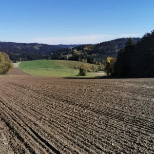 Buchtův kopec - Vysočina s dětmi