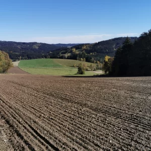 Buchtův kopec - Vysočina s dětmi