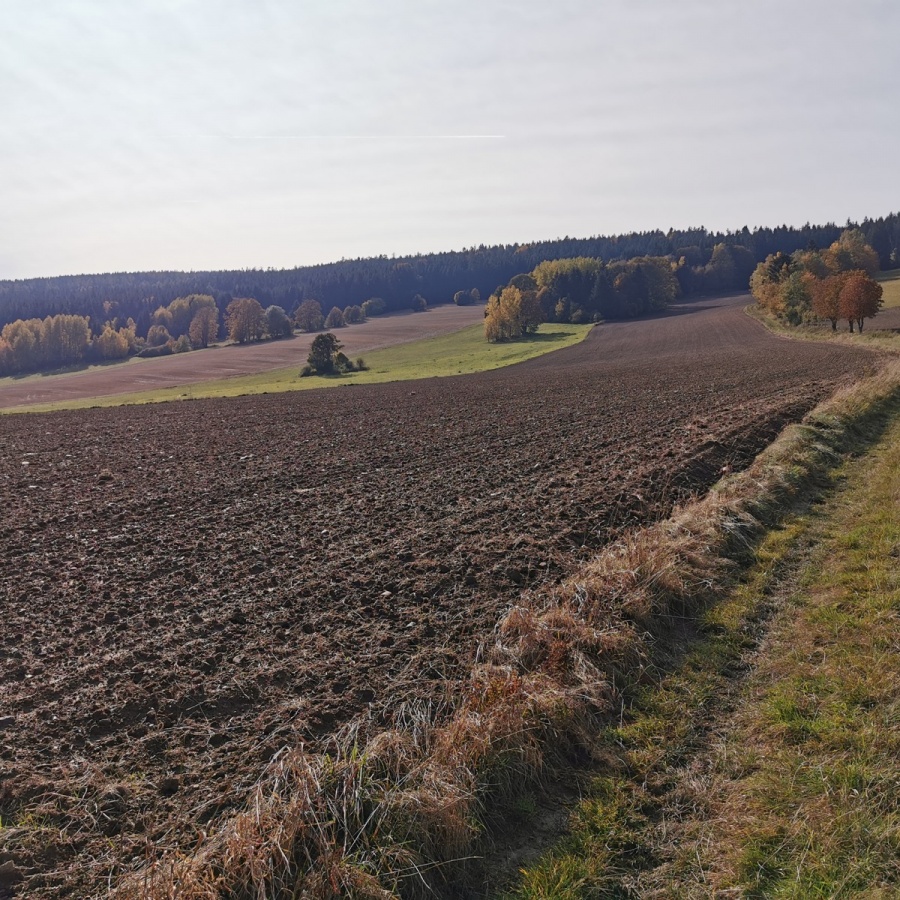 Buchtův kopec obrázek 15