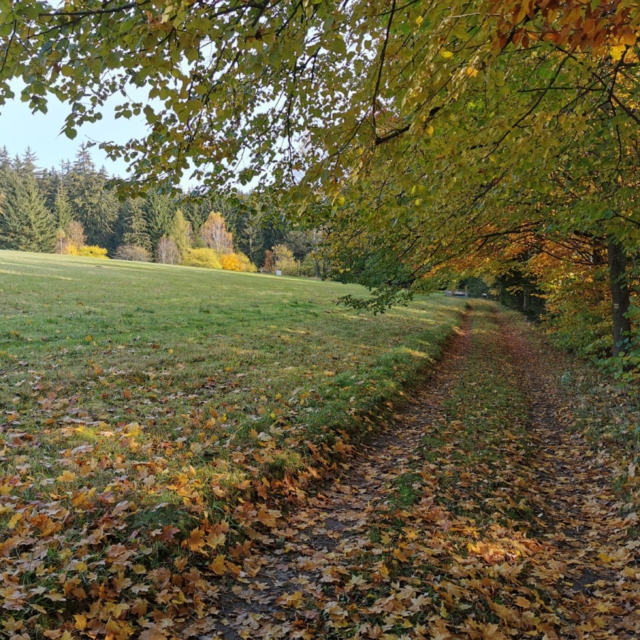 Buchtův kopec obrázek 19