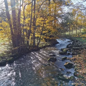 Buchtův kopec - Vysočina s dětmi