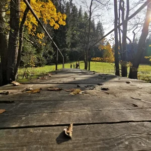 Buchtův kopec - Vysočina s dětmi