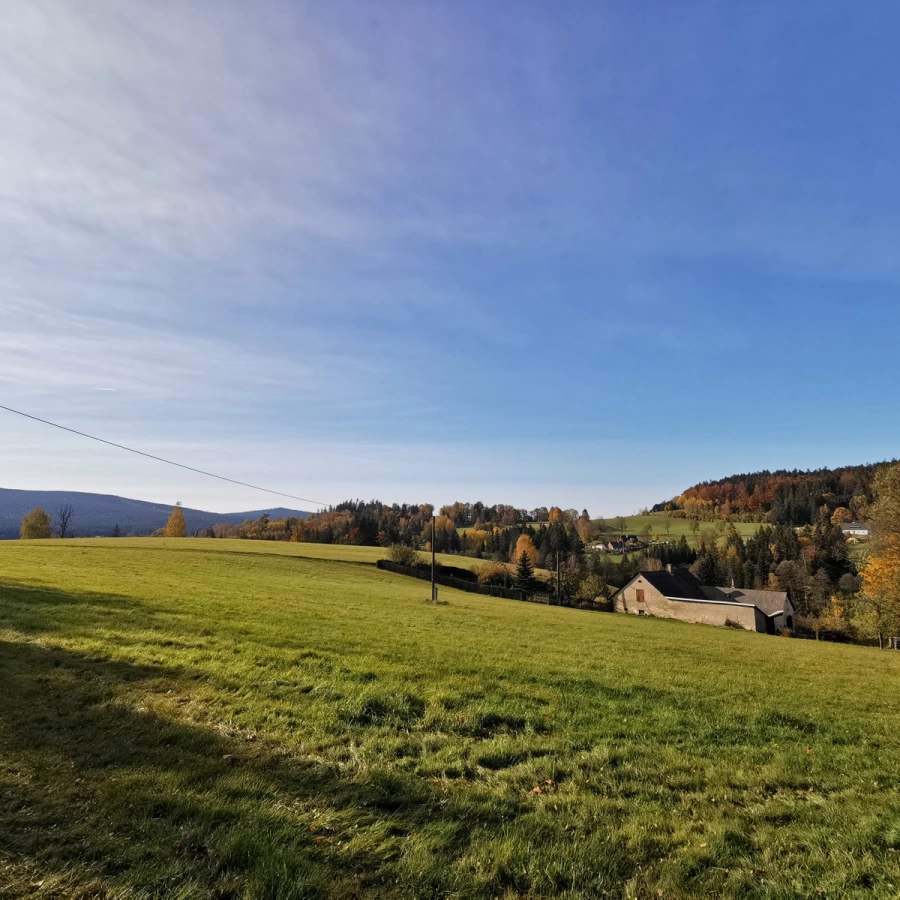 Buchtův kopec / 23