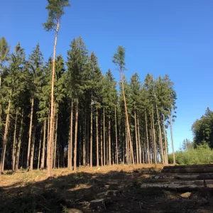 Hrad Oheb na Seči - Vysočina s dětmi