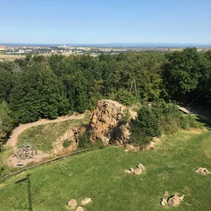Rekreační lesy Podhůra - Vysočina s dětmi