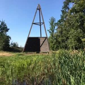 Rekreační lesy Podhůra - Vysočina s dětmi
