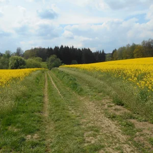 Hop na Zaječí skok u Jihlavy - Vysočina s dětmi