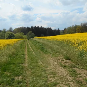 Hop na Zaječí skok u Jihlavy - Vysočina s dětmi