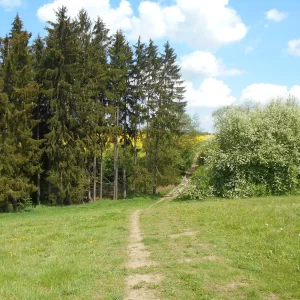 Hop na Zaječí skok u Jihlavy - Vysočina s dětmi