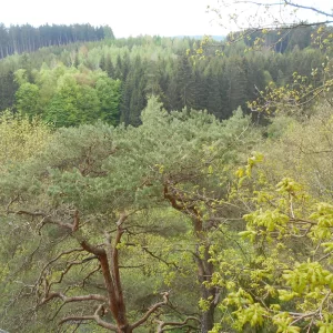 Hop na Zaječí skok u Jihlavy - Vysočina s dětmi